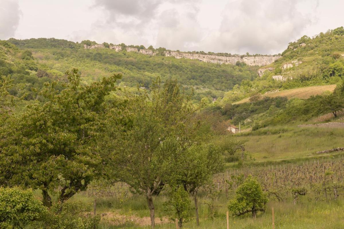 Maison Picard Saint-Romain  Ngoại thất bức ảnh